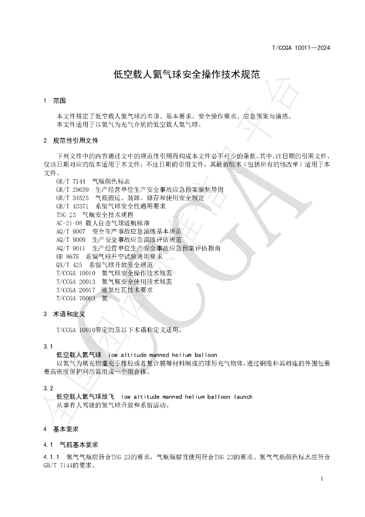 T/CCGA 10011-2024 标准预览