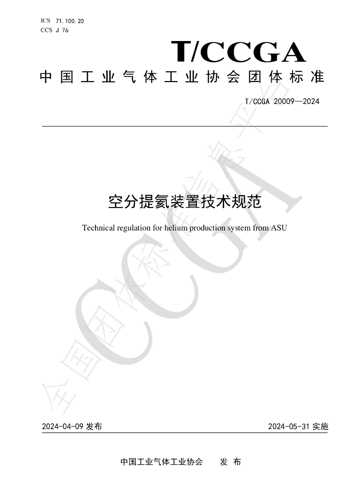 T/CCGA 20009-2024 标准预览