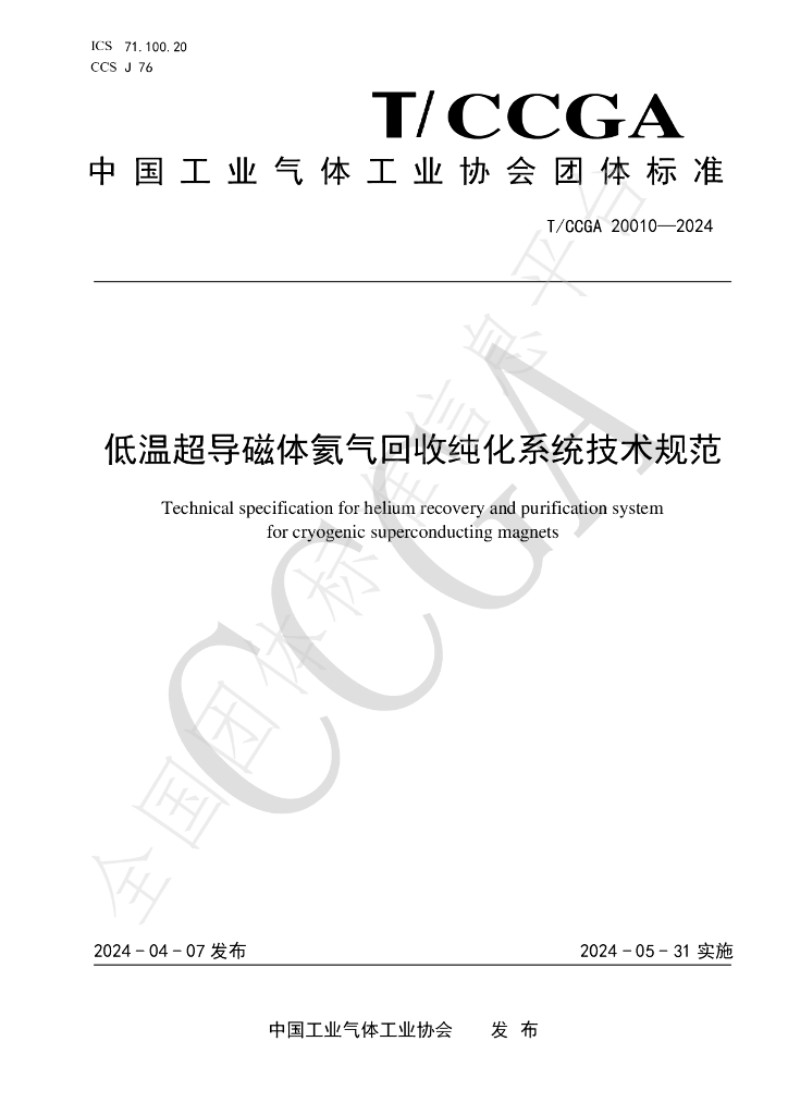 T/CCGA 20010-2024 标准预览