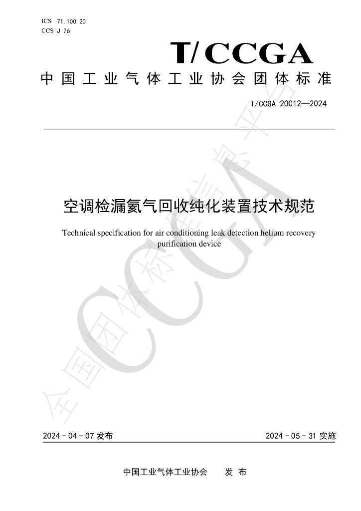 T/CCGA 20012-2024 标准预览