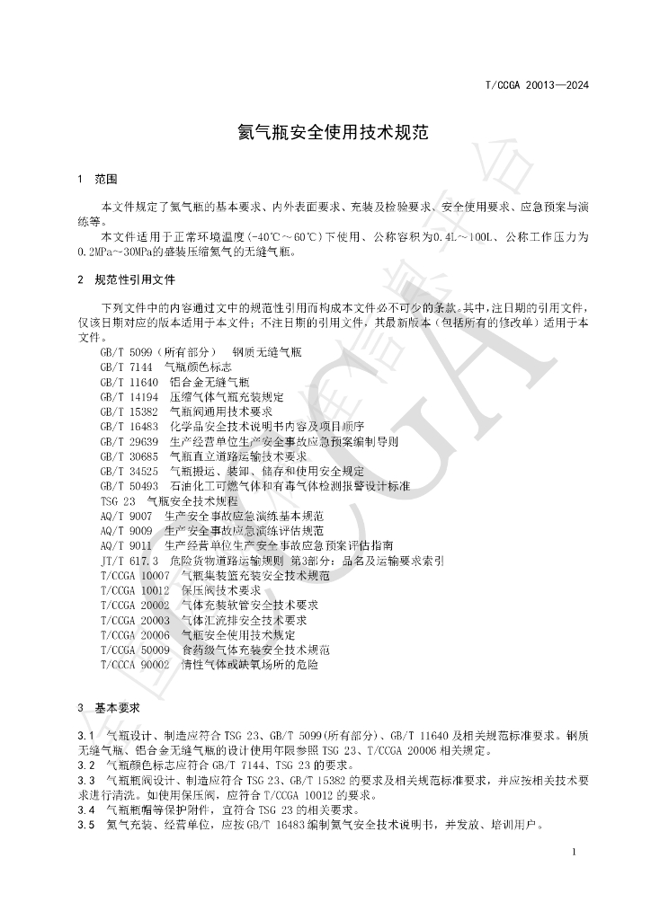 T/CCGA 20013-2024 标准预览