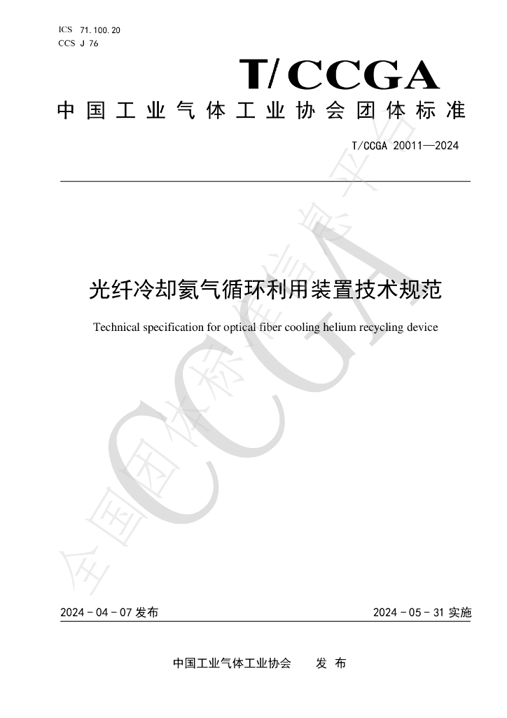 T/CCGA 20011-2024 标准预览