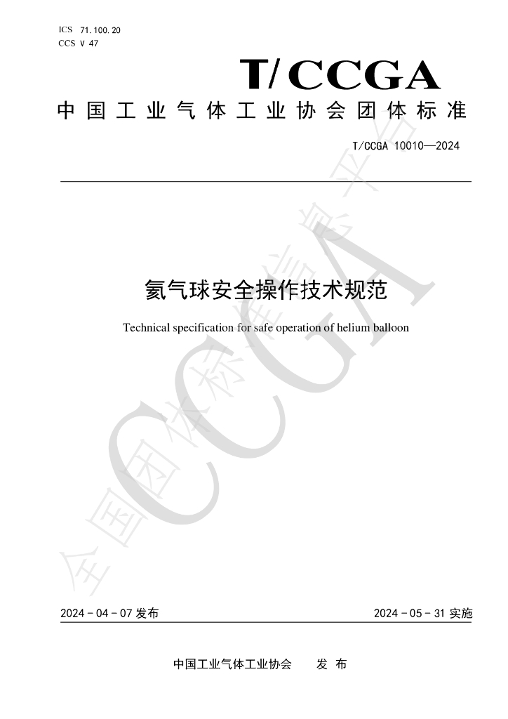 T/CCGA 10010-2024 标准预览