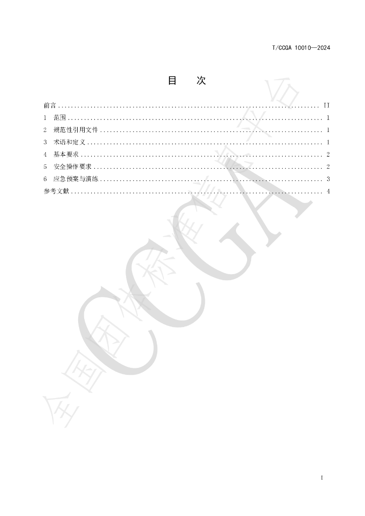 T/CCGA 10010-2024 标准预览