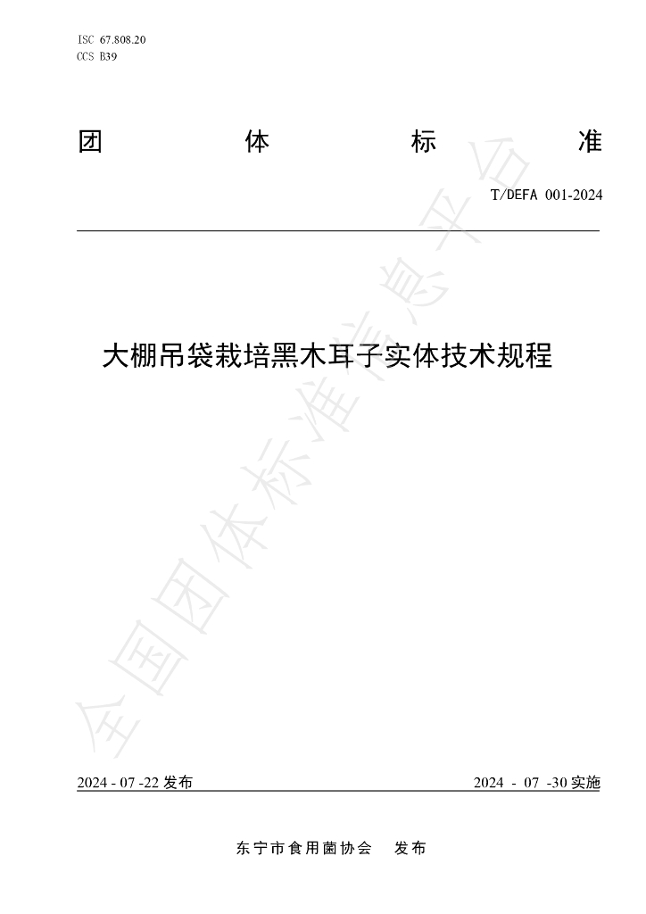 T/DEFA 001-2024 标准预览
