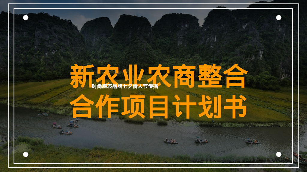 新农业农商整合合作项目计划书