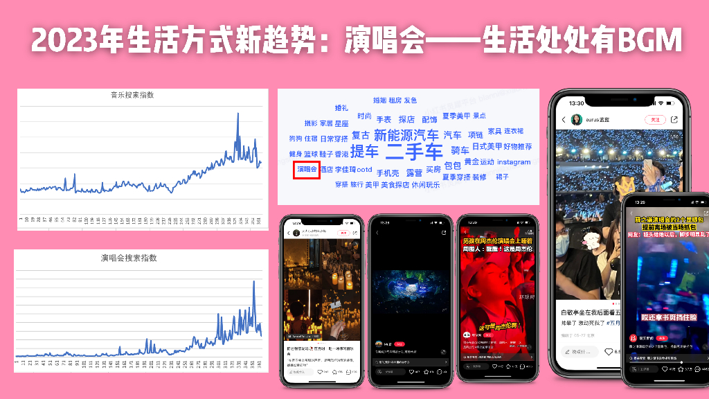小红书：MINI营销方案_第10页