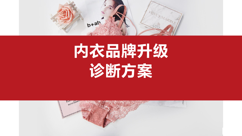 猫人：内衣品牌升级诊断方案