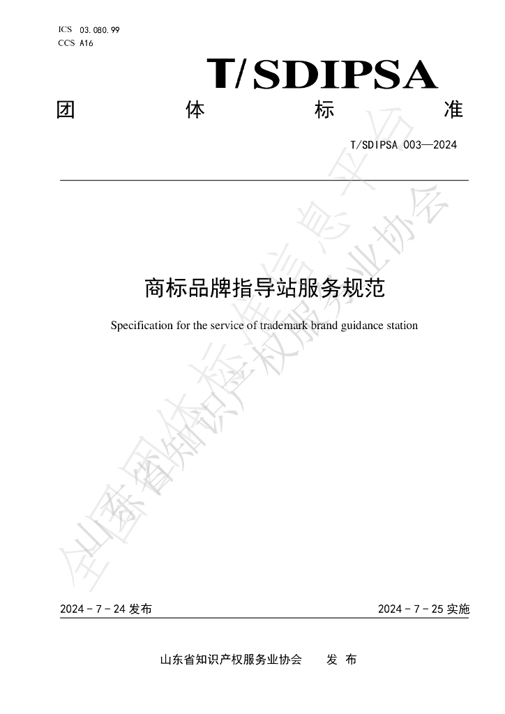 T/SDIPSA 003-2024 标准预览