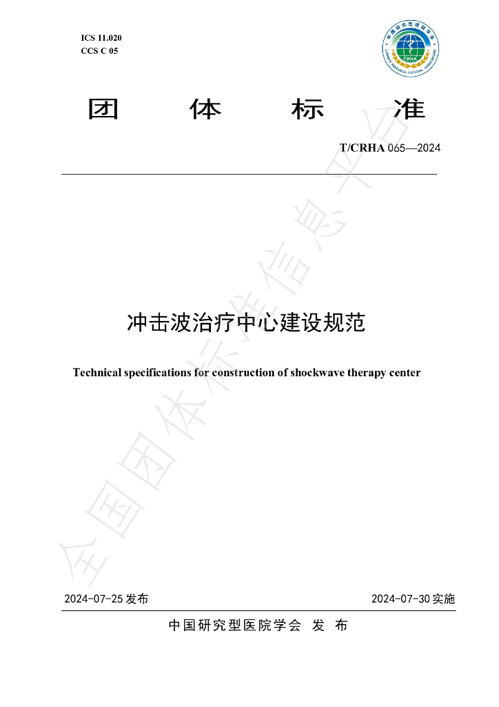 T/CRHA 065-2024 标准预览