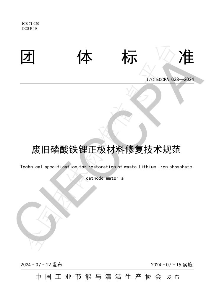 T/CIECCPA 028-2024 标准预览