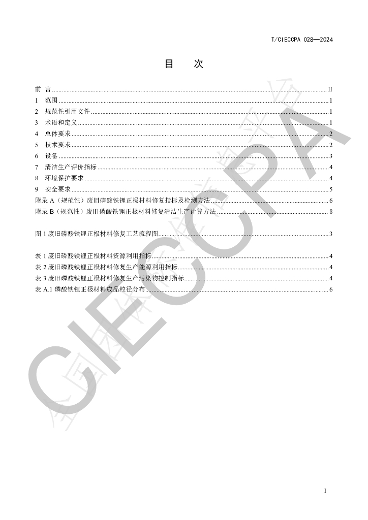 T/CIECCPA 028-2024 标准预览