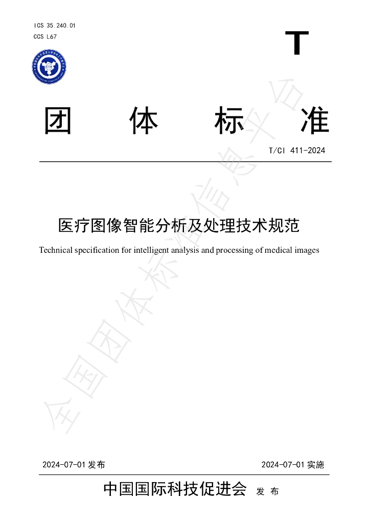 T/CI 411-2024 标准预览