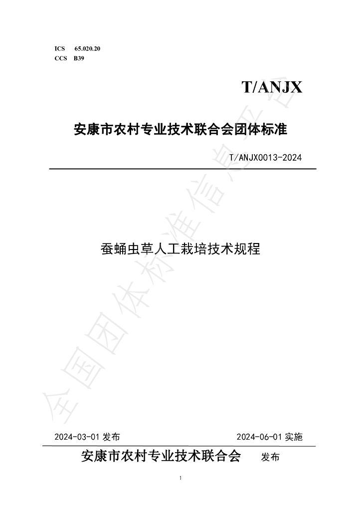 T/ANJX 0013-2024 标准预览