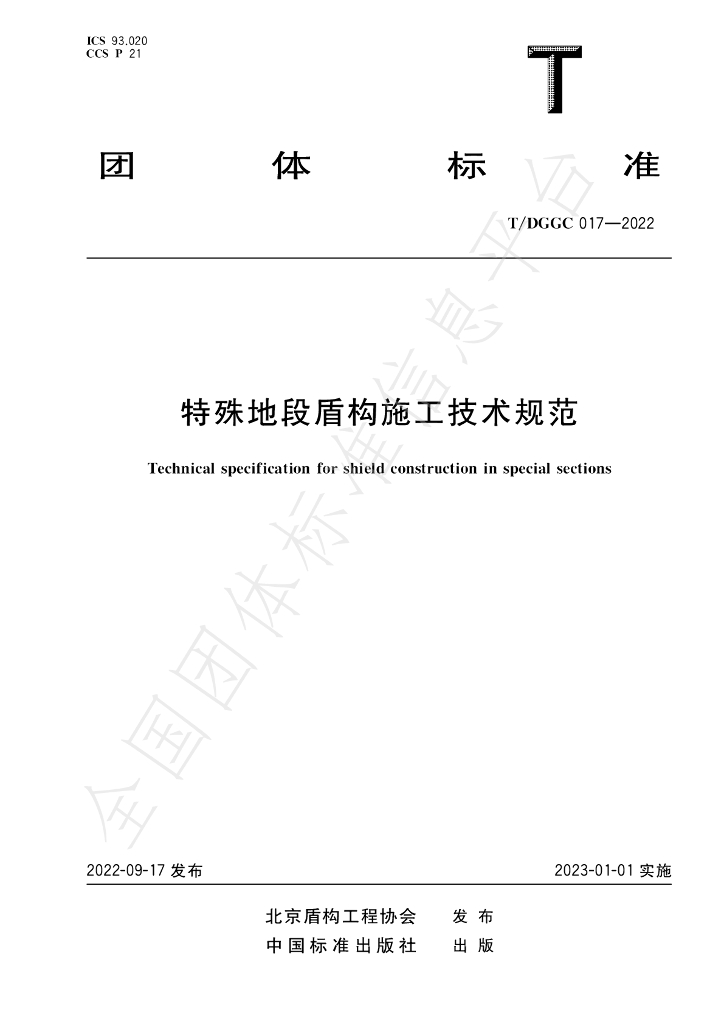 T/DGGC 017-2022 标准预览