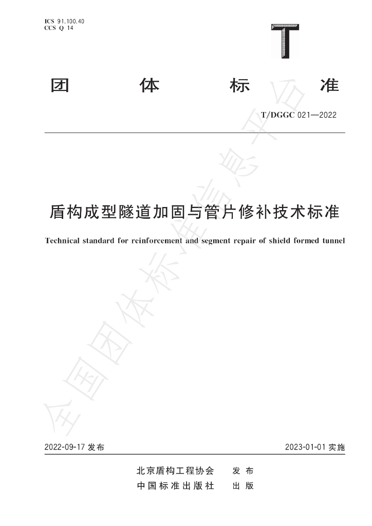 T/DGGC 021-2022 标准预览