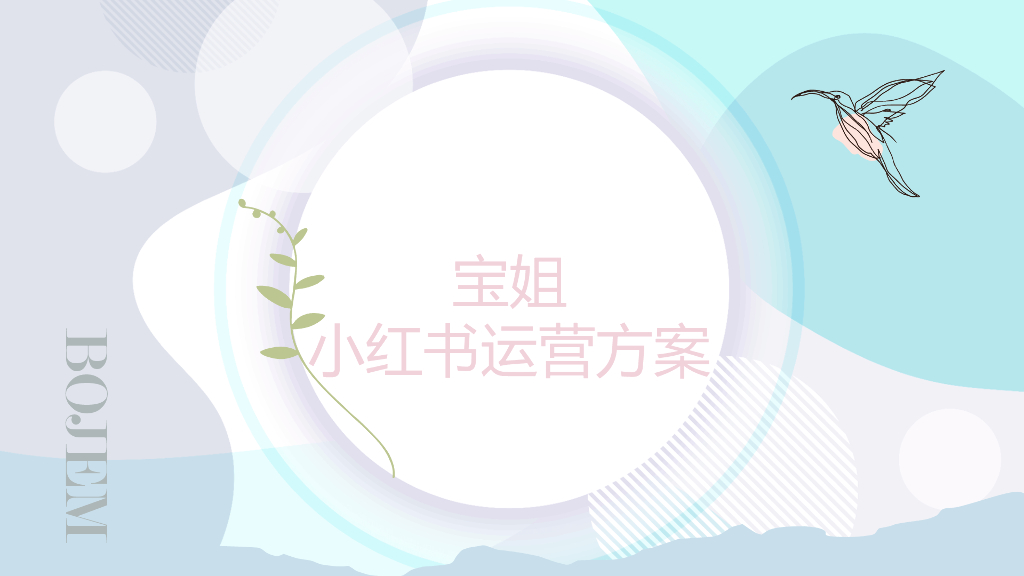 小红书：宝姐珠宝奢侈品推广策划运营方案