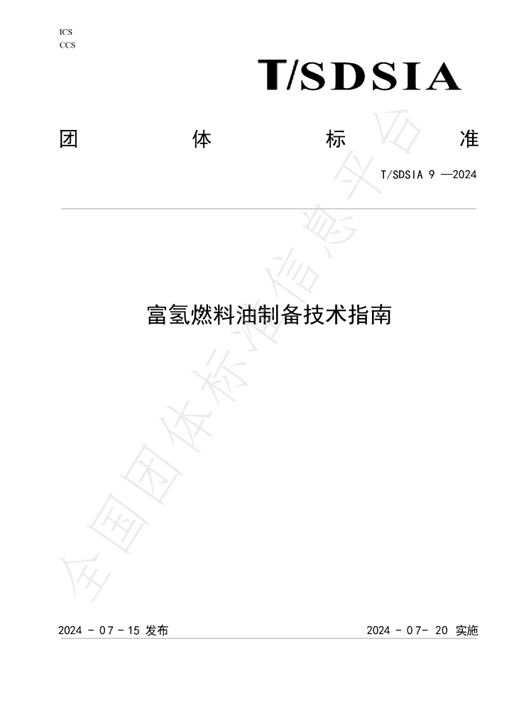 T/SDSIA 9-2024 标准预览