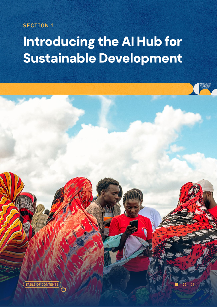 联合国开发计划署（UNDP）：2024通过集体行动加强当地人工智能生态系统报告（英文版）_第8页