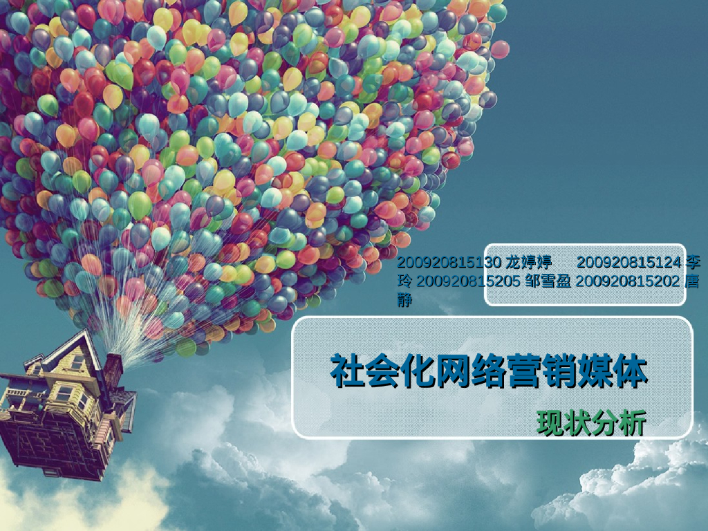 2013年社会化网络营销媒体现状分析