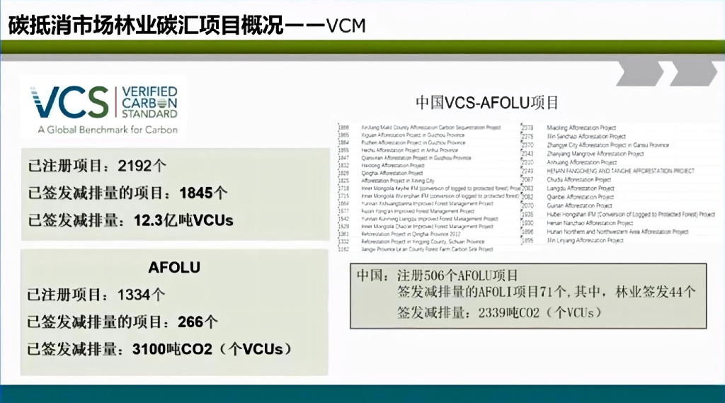 北京林业大学（武曙红）：2024中国“碳中和”目标背景下高质量林业碳汇项目开发的路径选择报告_第7页