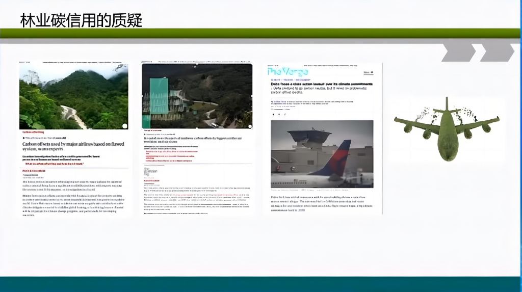 北京林业大学（武曙红）：2024中国“碳中和”目标背景下高质量林业碳汇项目开发的路径选择报告_第10页