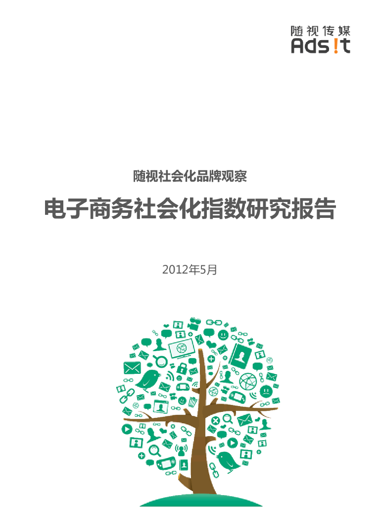 随视传媒：电子商务社会化指数研究报告