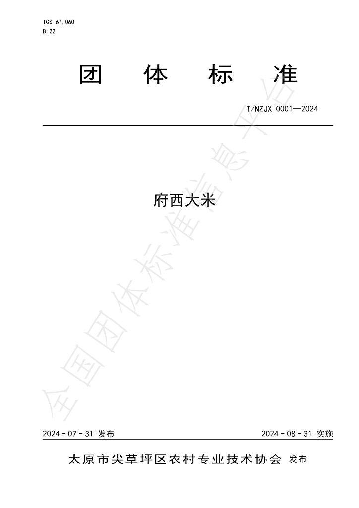 T/NZJX 0001-2024 标准预览