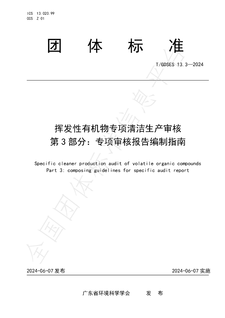 T/GDSES 13.3-2024 标准预览