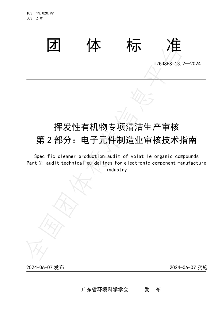 T/GDSES 13.2-2024 标准预览