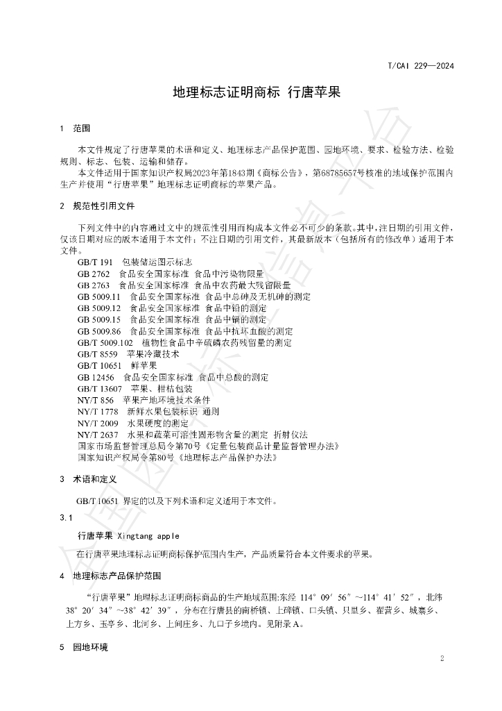 T/CAI 229-2024 标准预览