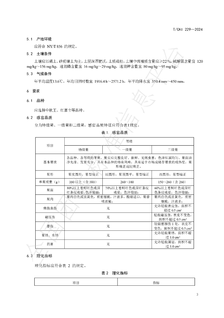 T/CAI 229-2024 标准预览