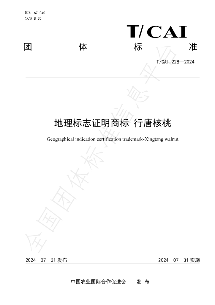 T/CAI 228-2024 标准预览
