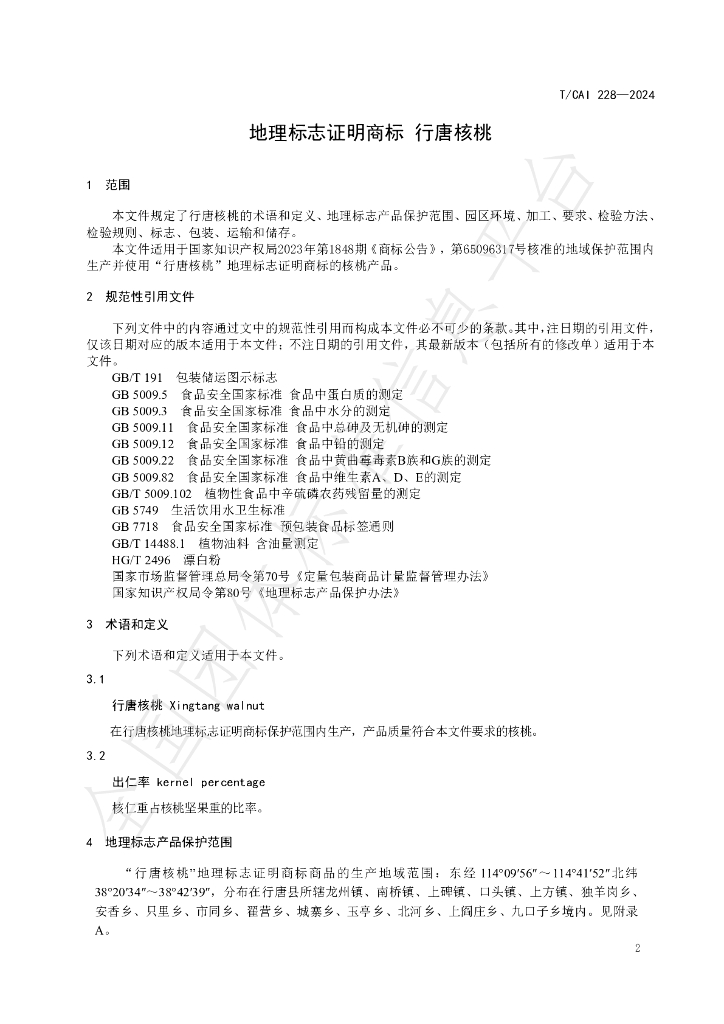 T/CAI 228-2024 标准预览