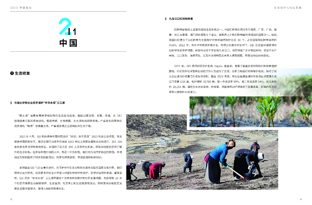 全球环境研究所：2023年度报告_第10页