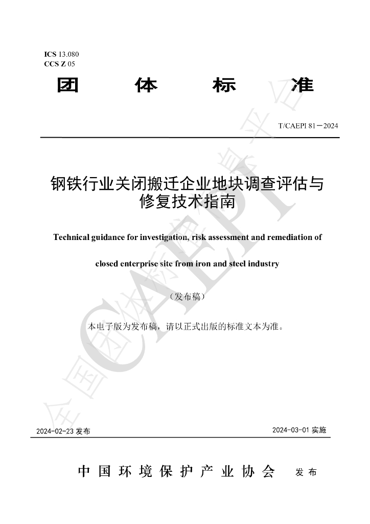 T/CAEPI 81-2024 标准预览