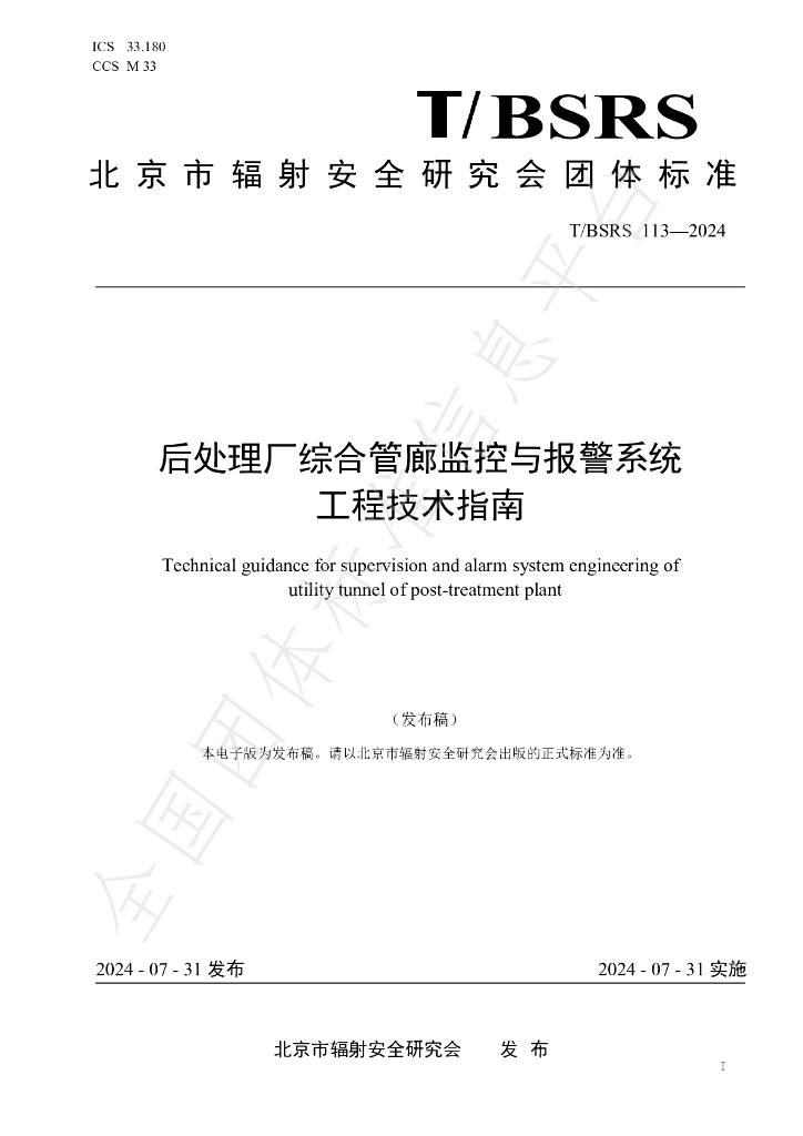 T/BSRS 113-2024 标准预览