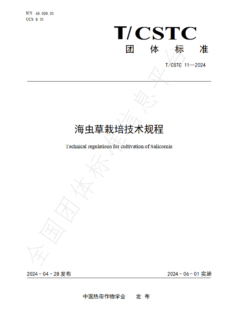 T/CSTC 11-2024 标准预览