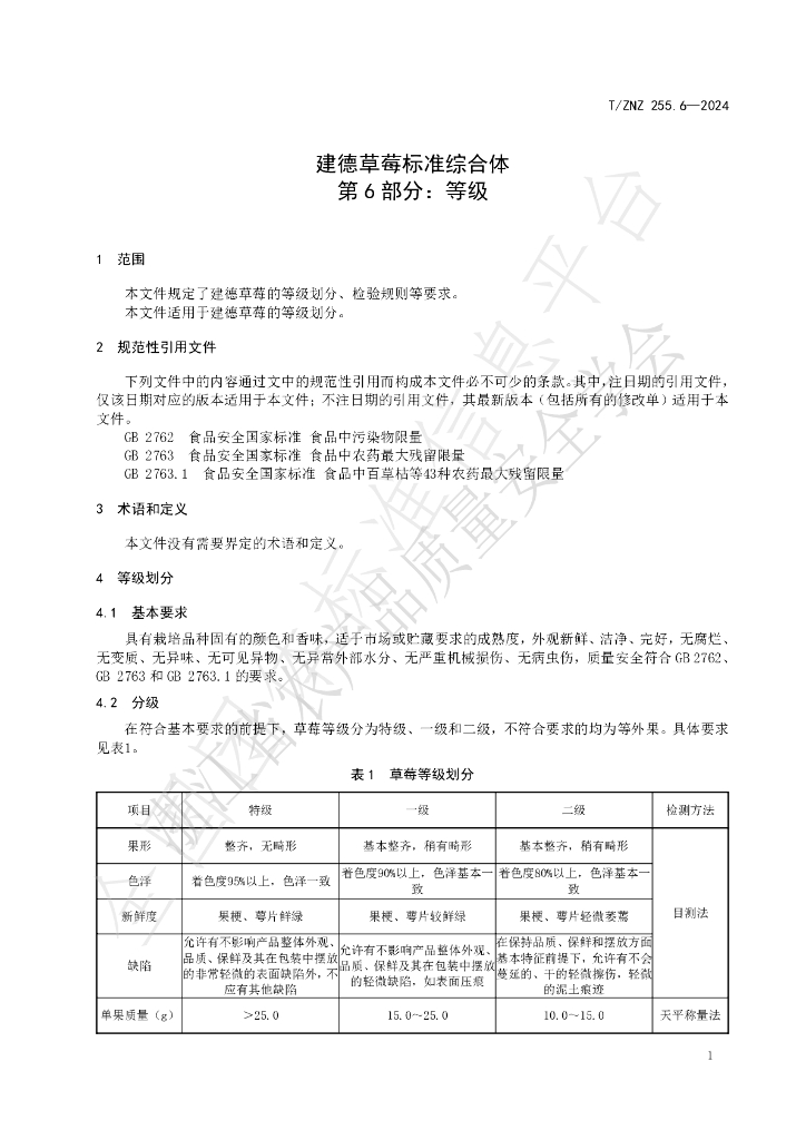 T/ZNZ 255.6-2024 标准预览
