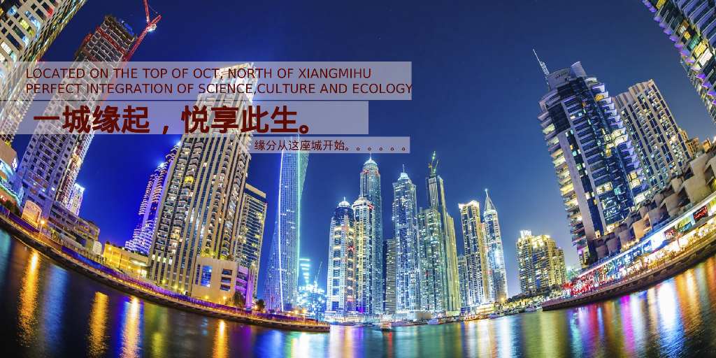 东部新城年度活动概念案