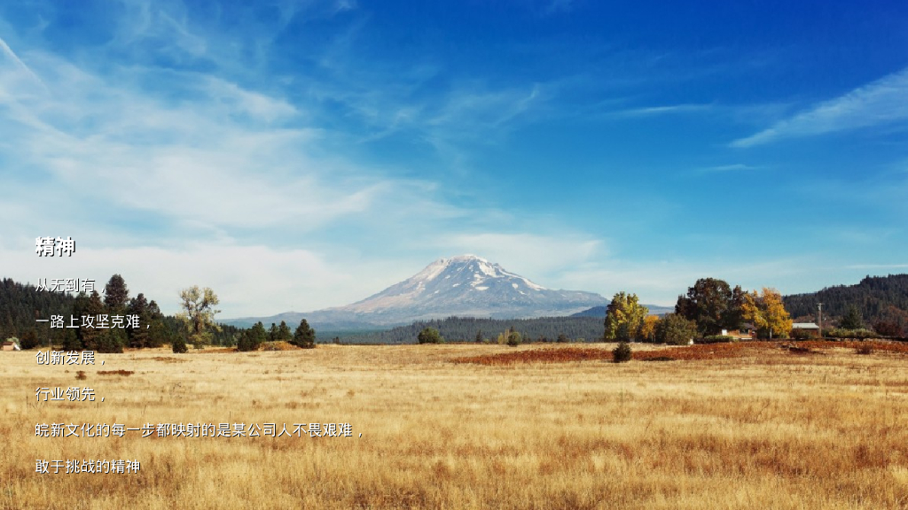 安徽皖新文化产业投资集团年会策划案_第4页