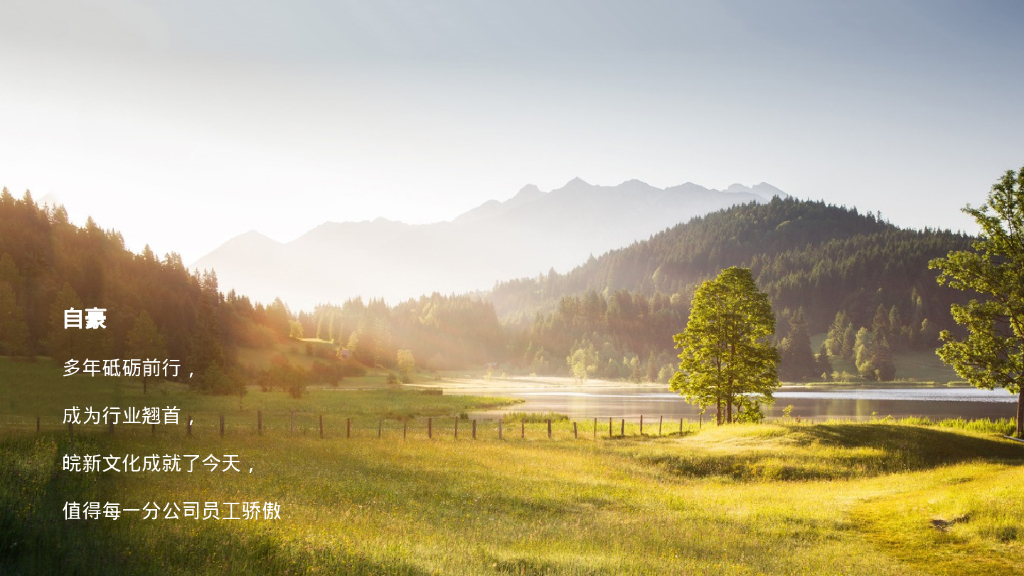 安徽皖新文化产业投资集团年会策划案_第6页