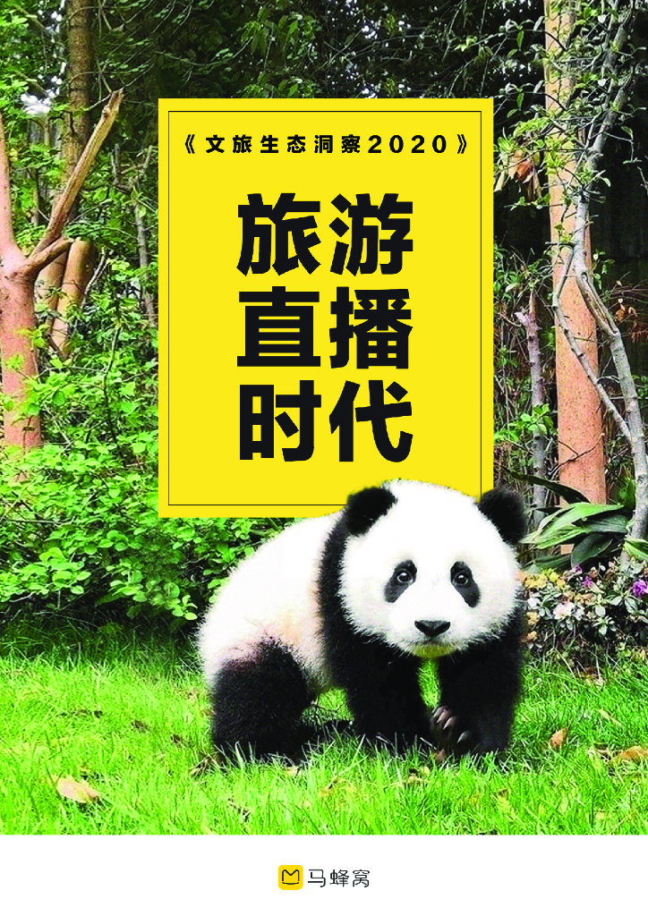 马蜂窝：文旅生态洞察2020——旅游直播时代海报