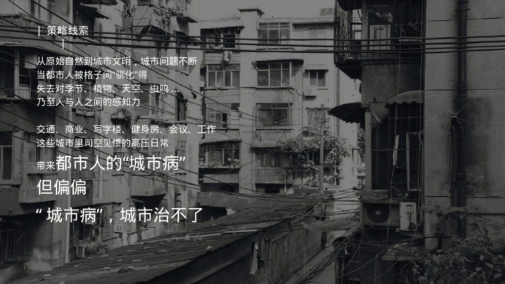 文旅景区首届山谷音乐文化节“归来XX·声入人心”主题活动策划方案_第9页