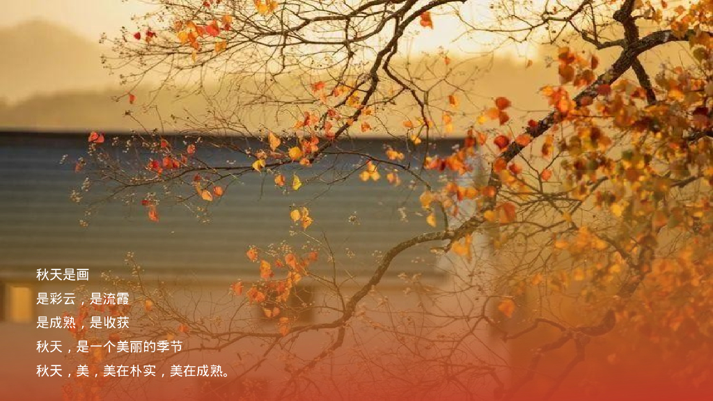 文旅项目金秋九月十月系列“花满金秋 慢悟时光”活动策划方案_第2页