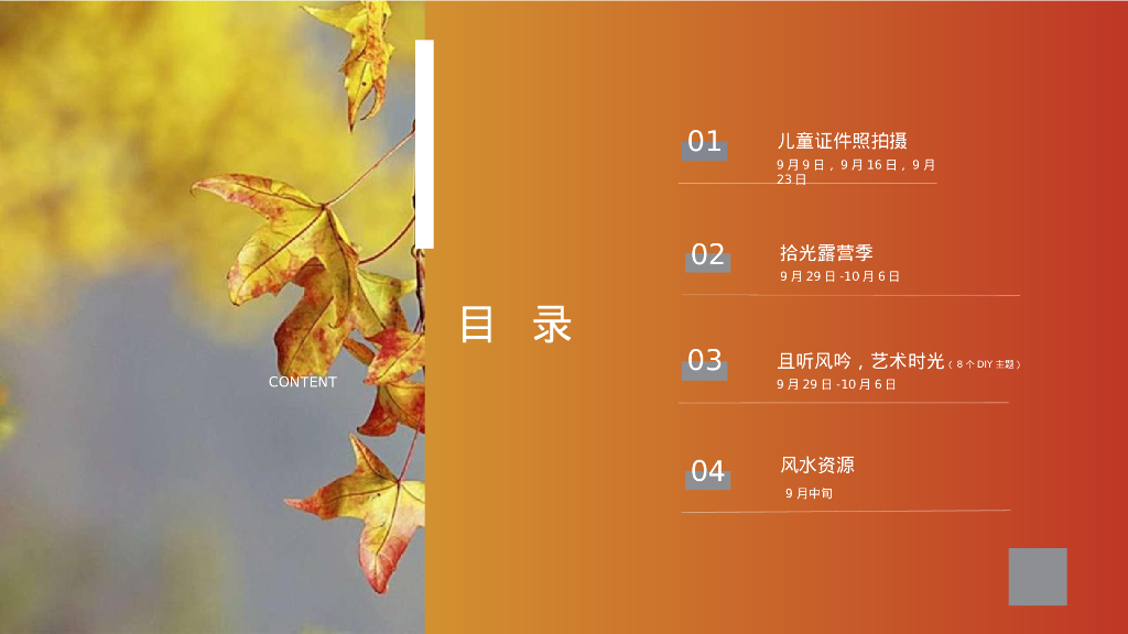 文旅项目金秋九月十月系列“花满金秋 慢悟时光”活动策划方案_第4页