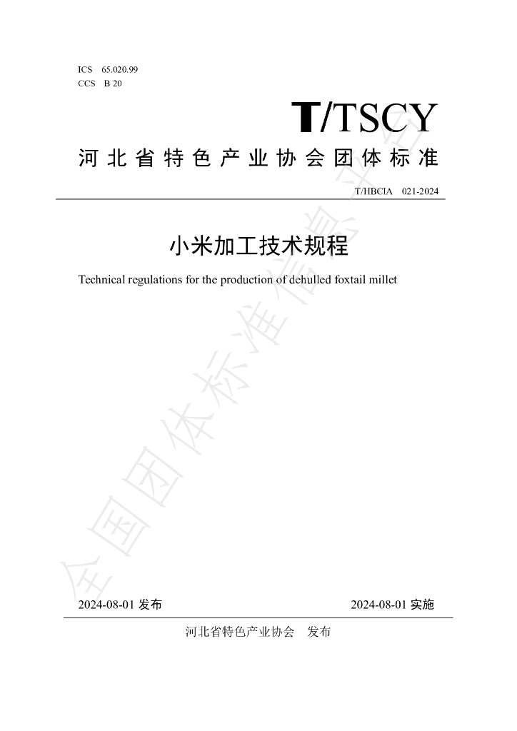 T/HBCIA 021-2024 标准预览