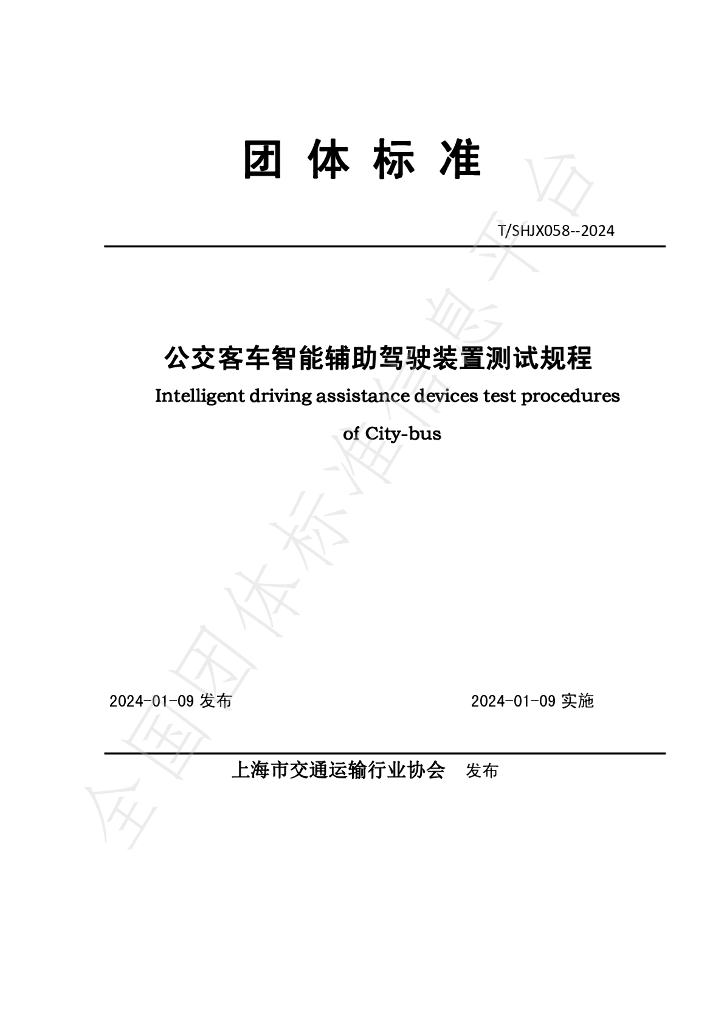 T/SHJX 058-2024 标准预览