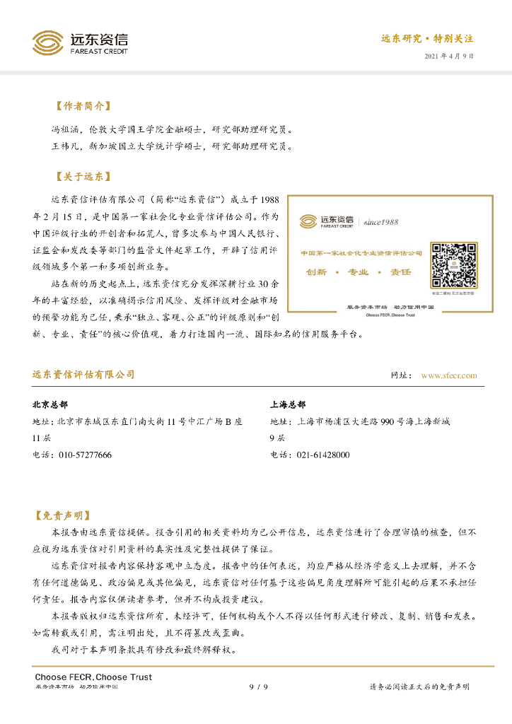 远东资信：全球视角下的碳中和_第9页