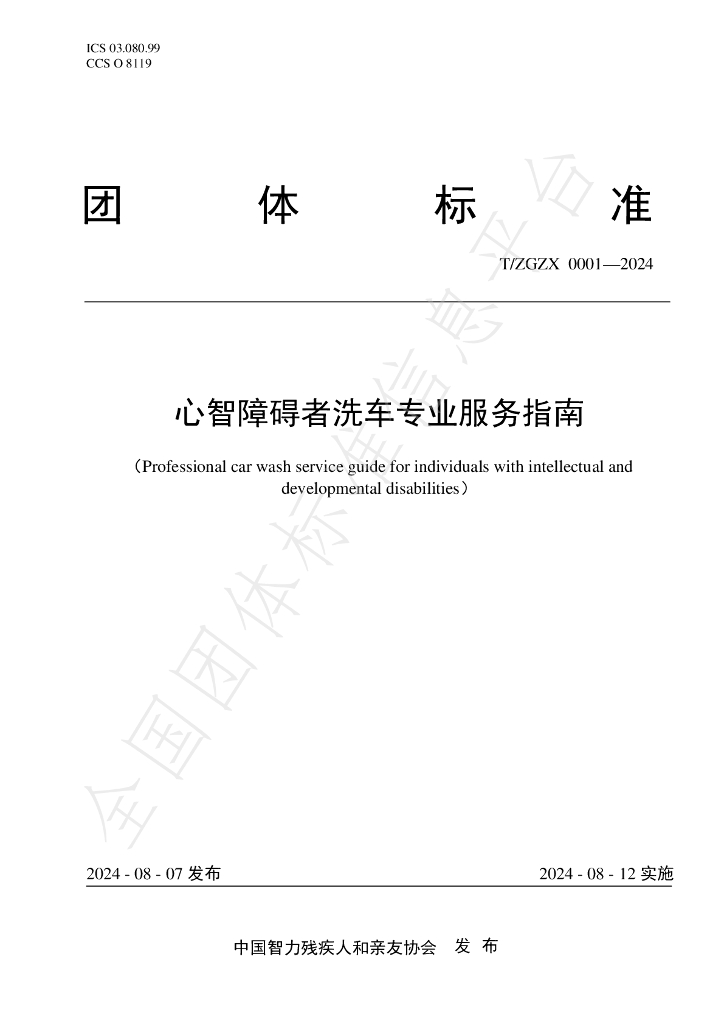 T/ZGZX 0001-2024 标准预览